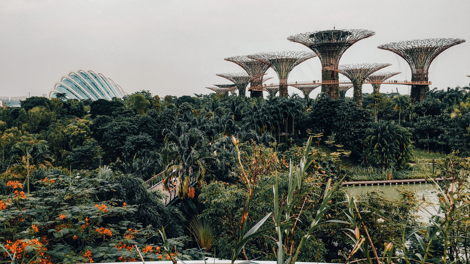 Top 8 Things to Do in Singapore