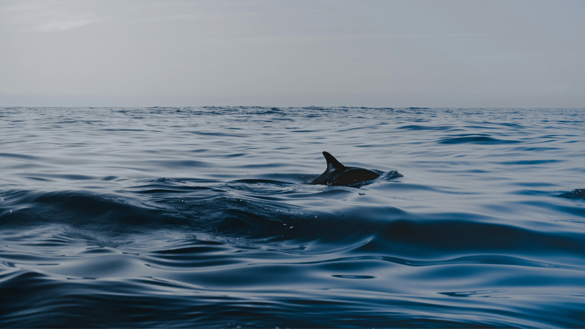 Best Affordable Maui Tours for Families: 10 Adventures Under $100